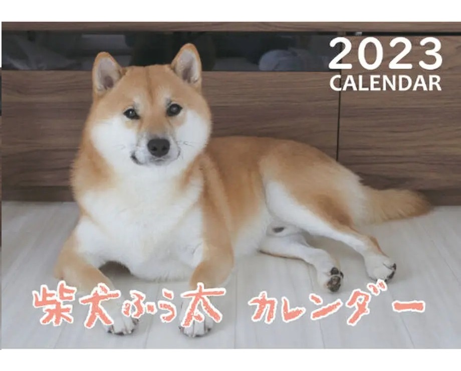 2023　カレンダー　ふう太　Twitter