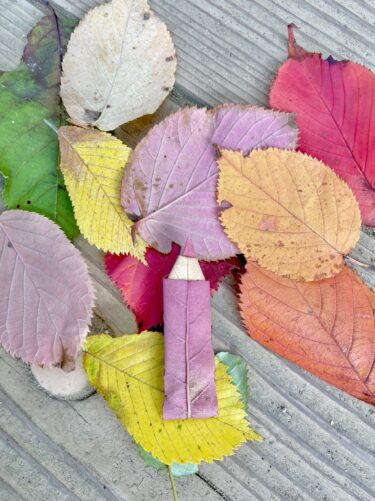 色鉛筆を作る季節がやってきた!?秋を感じる鮮やかな落ち葉の色鉛筆に4万いいね！