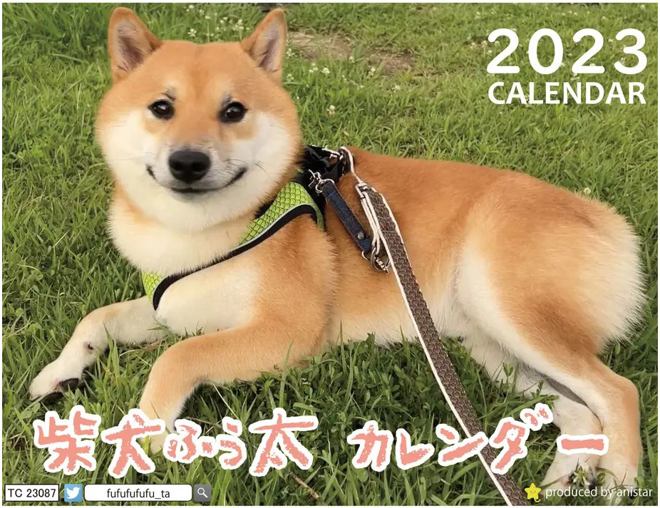 カレンダー　柴犬　ふう太　犬　2023