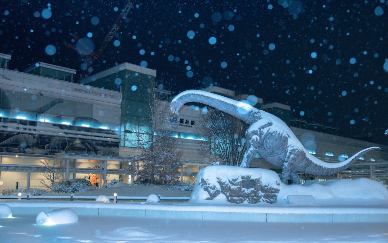恐竜　福井　雪　写真　氷河期　Twitter